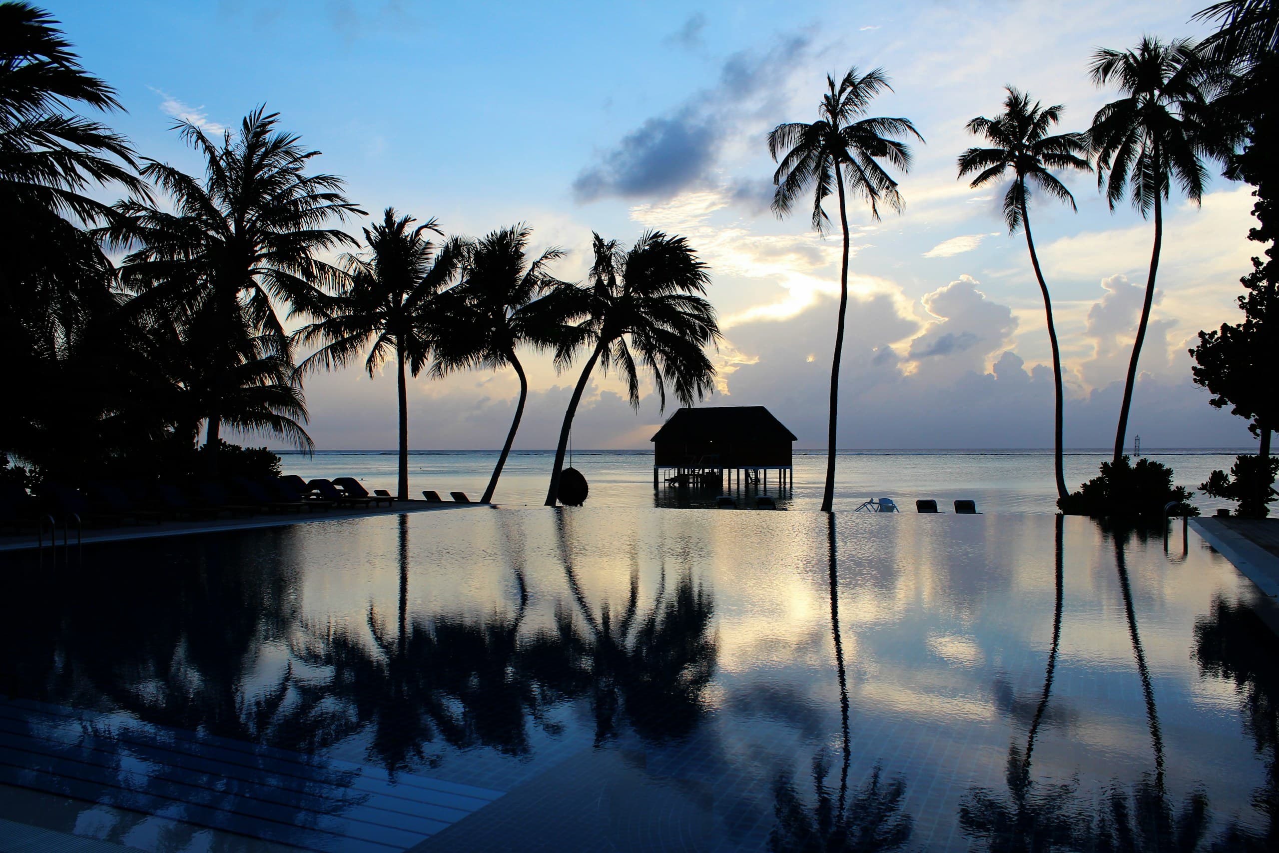 Palm-fringed infinity pool at a tropical beachfront retreat, reflecting a calm twilight sky